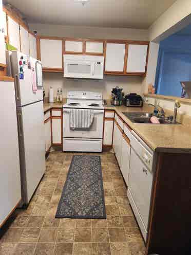Looking for s roommate!