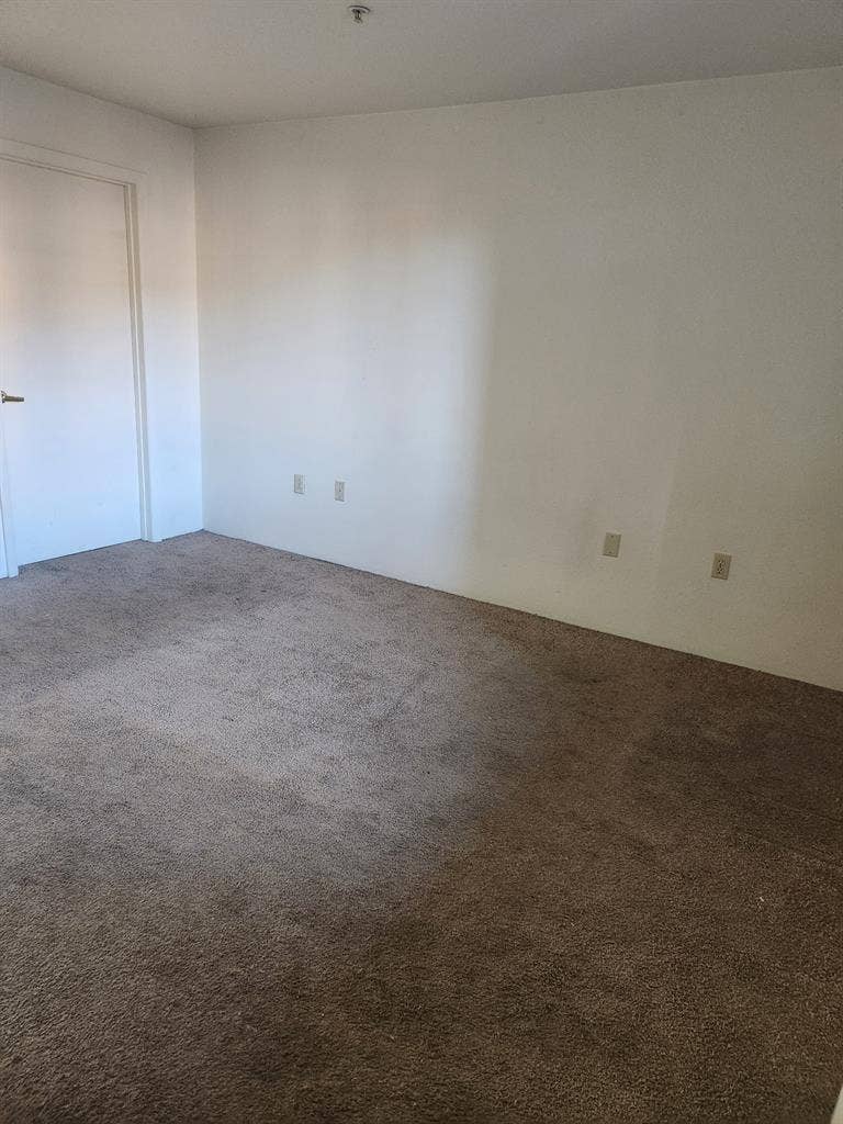 Looking for s roommate!