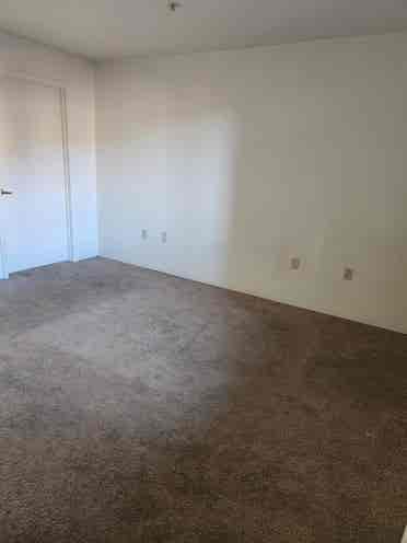 Looking for s roommate!