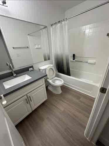 looking for a roommate asapp