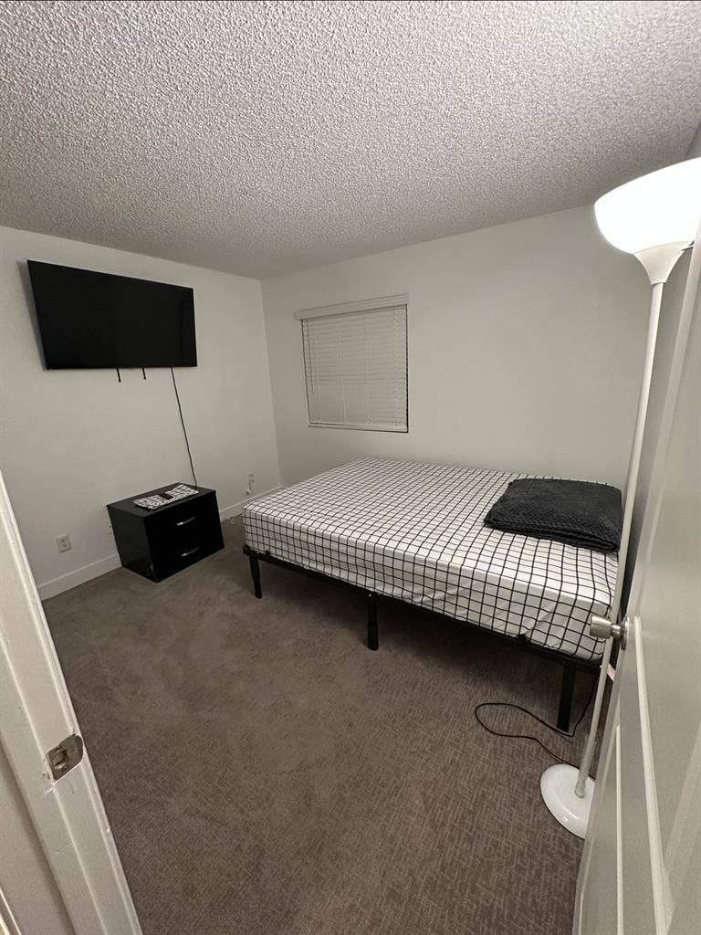 looking for a roommate asapp