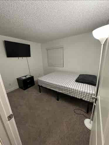 looking for a roommate asapp