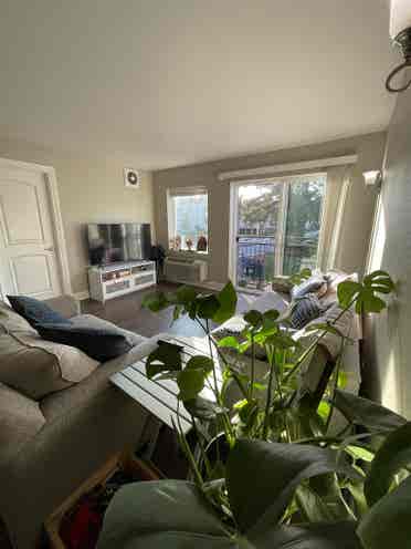 🌸 Private Room for Rent