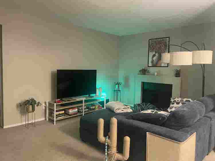 Nice room in Tempe lake