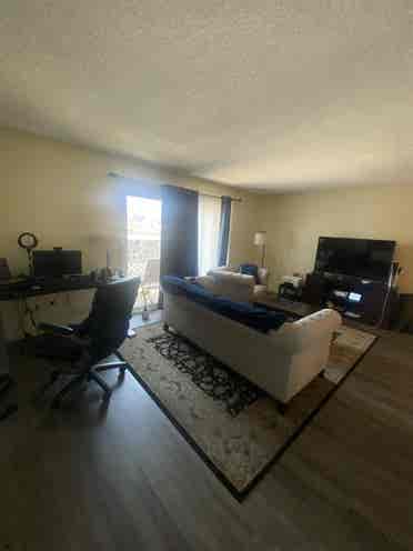 Room in Vista