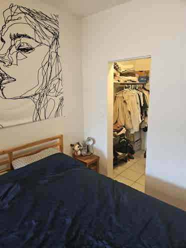 Room Available right now (summer)