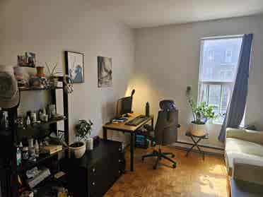 Room Available right now (summer)