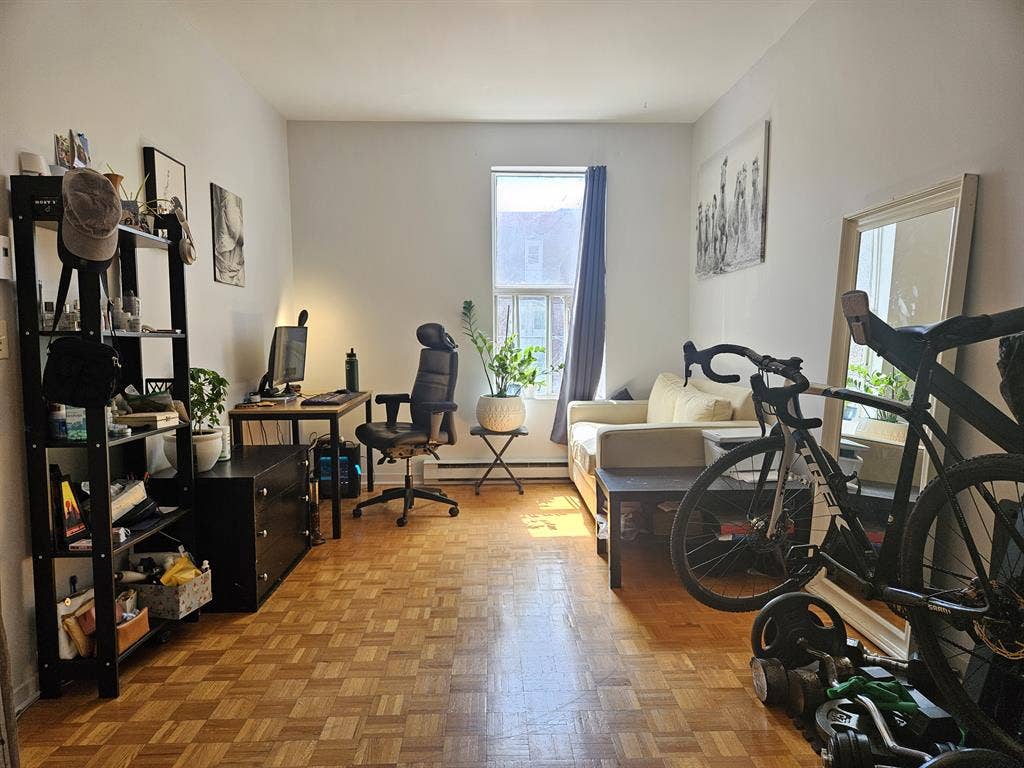 Room Available right now (summer)