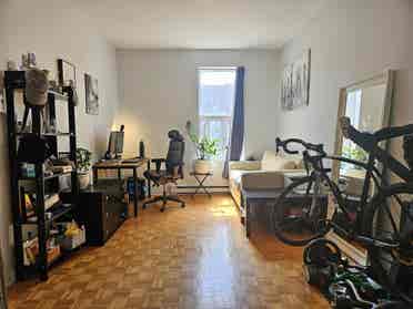 Room Available right now (summer)