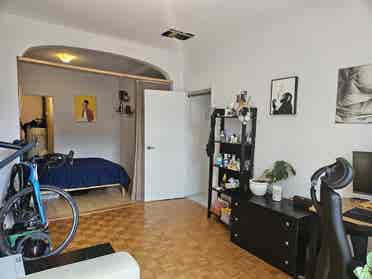Room Available right now (summer)
