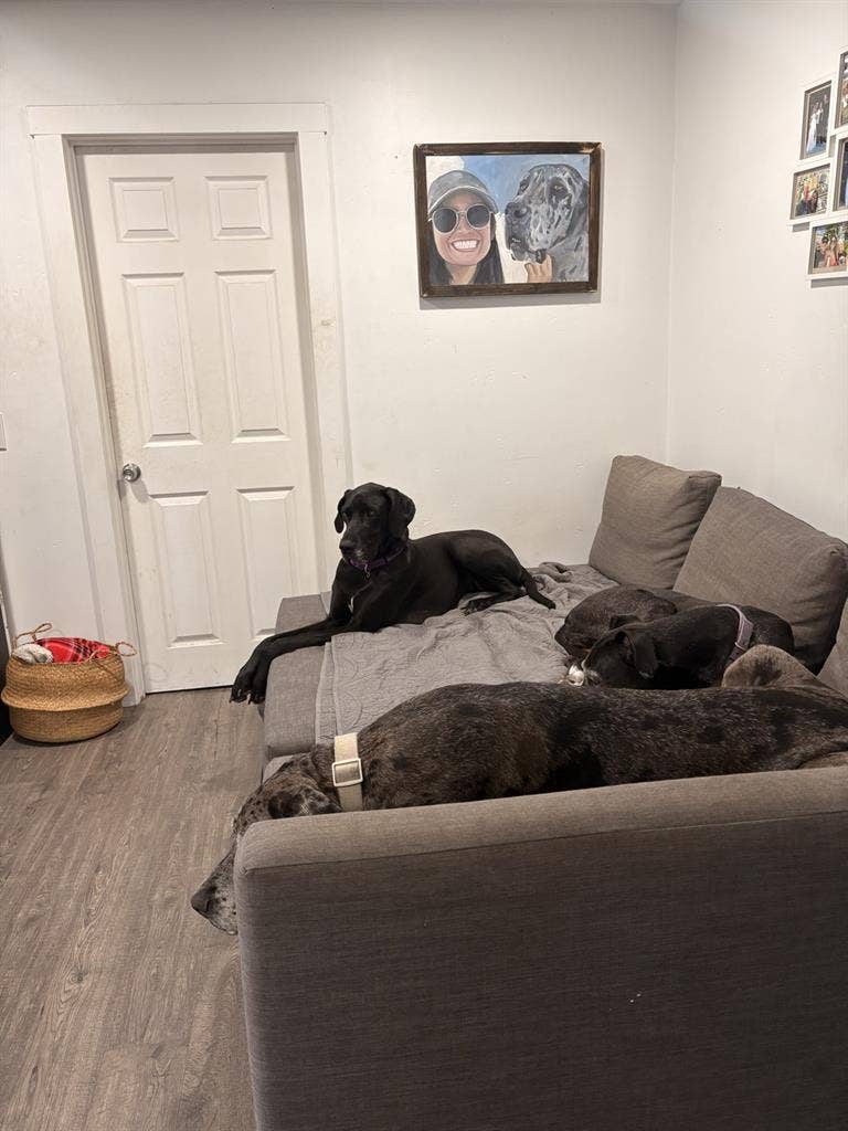 Temporary Roomate - 2 months