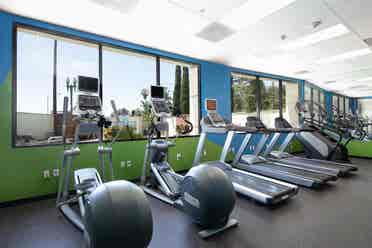 SHARED Room Summer Sublease, /mo