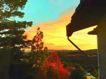 Luxury in Nature. Views. Arts.