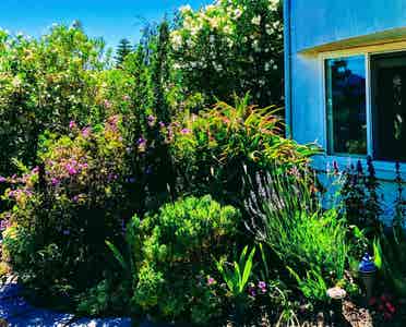Luxury in Nature. Views. Arts.