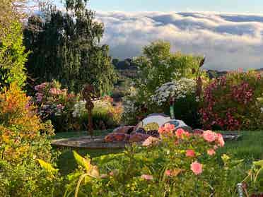Luxury in Nature. Views. Arts.