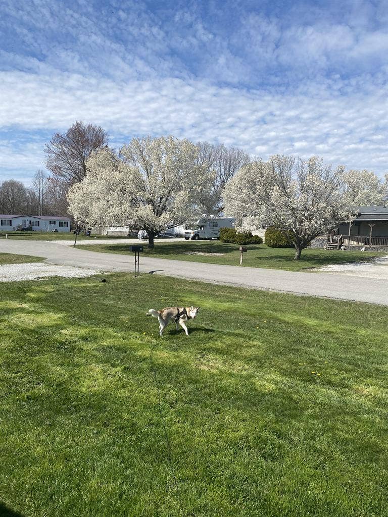 New Listing