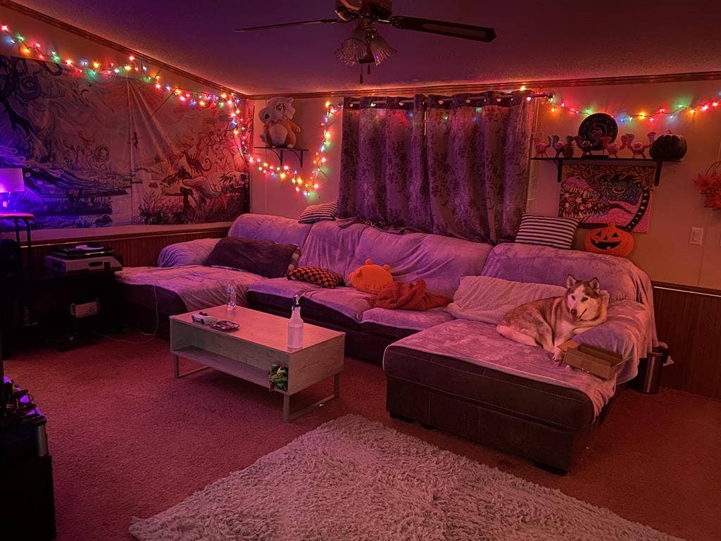 New Listing