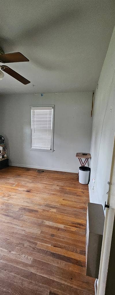 O friendly roommate wanted