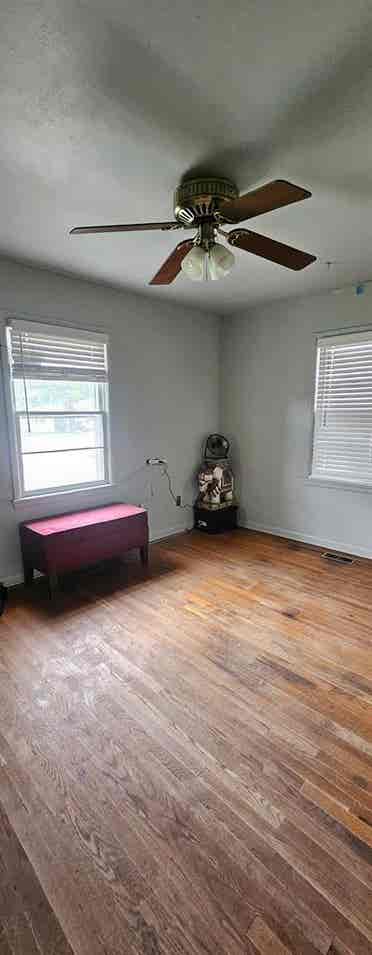 O friendly roommate wanted