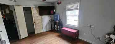 O friendly roommate wanted