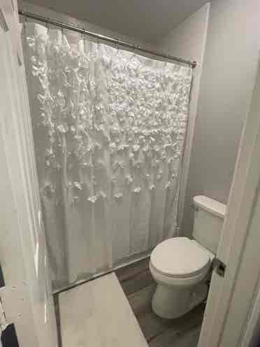 Rooms Available in Humble
