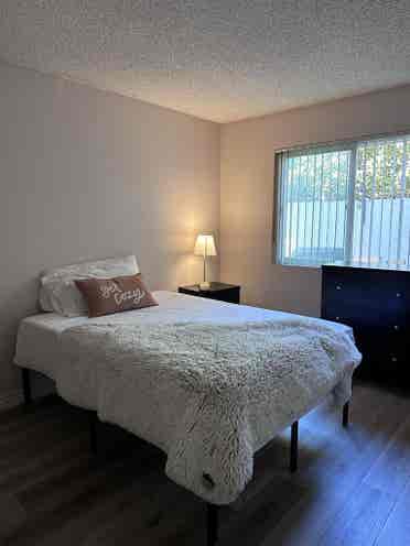 Looking for Roommate.