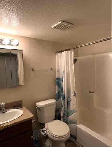 Looking for Roommate.