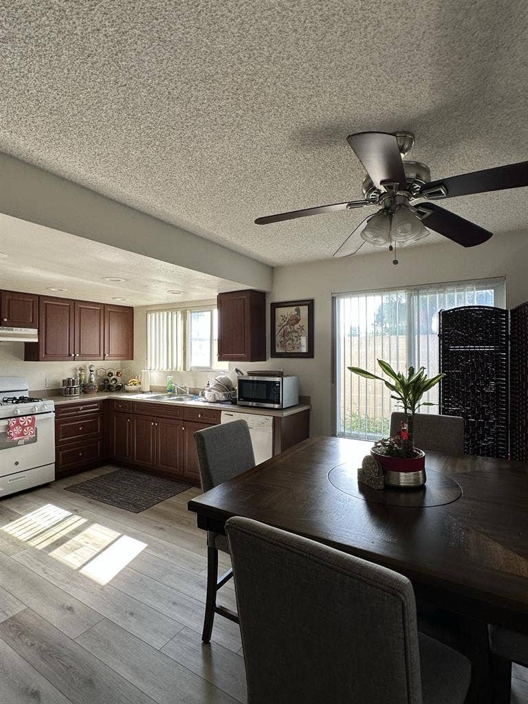 Looking for Roommate.
