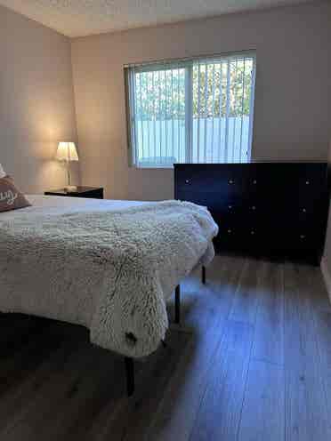 Looking for Roommate.