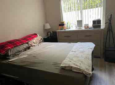 Looking for Roommate.