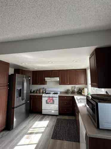 Looking for Roommate.