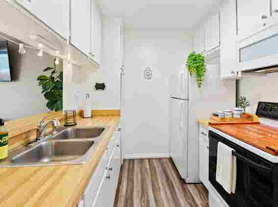 Furnished 1 BR Condo-All Incl.
