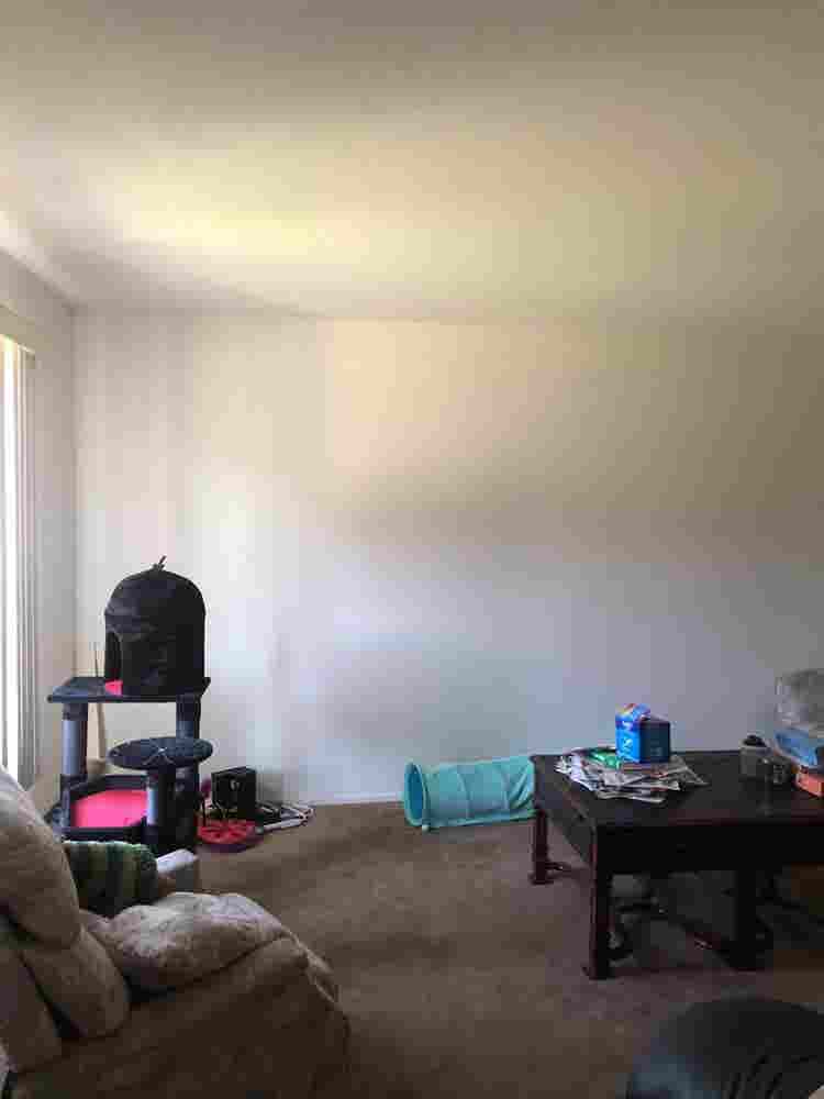 Large room available august !