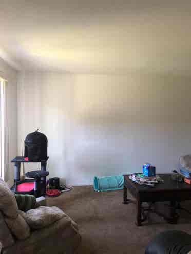 Large room available august !