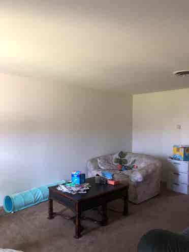 Large room available august !