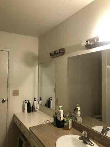 Large room available august !