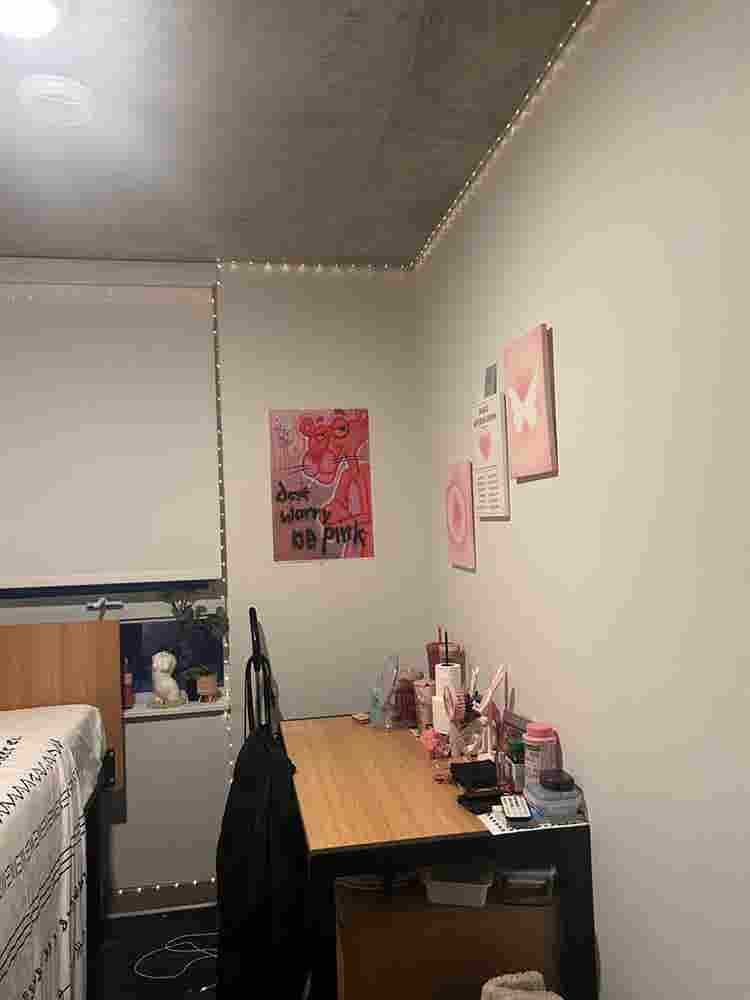 Fully furnished Modern Room