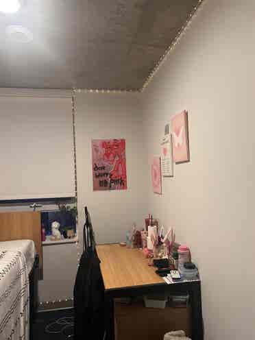 Fully furnished Modern Room