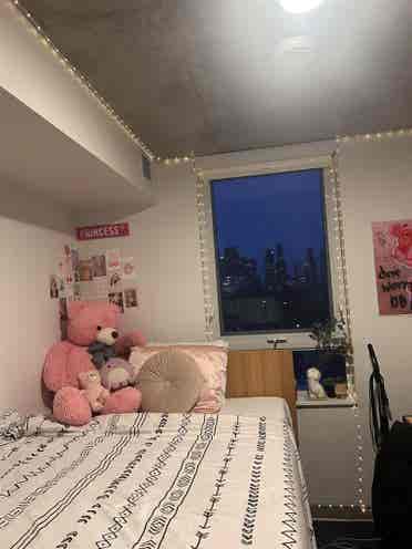 Fully furnished Modern Room