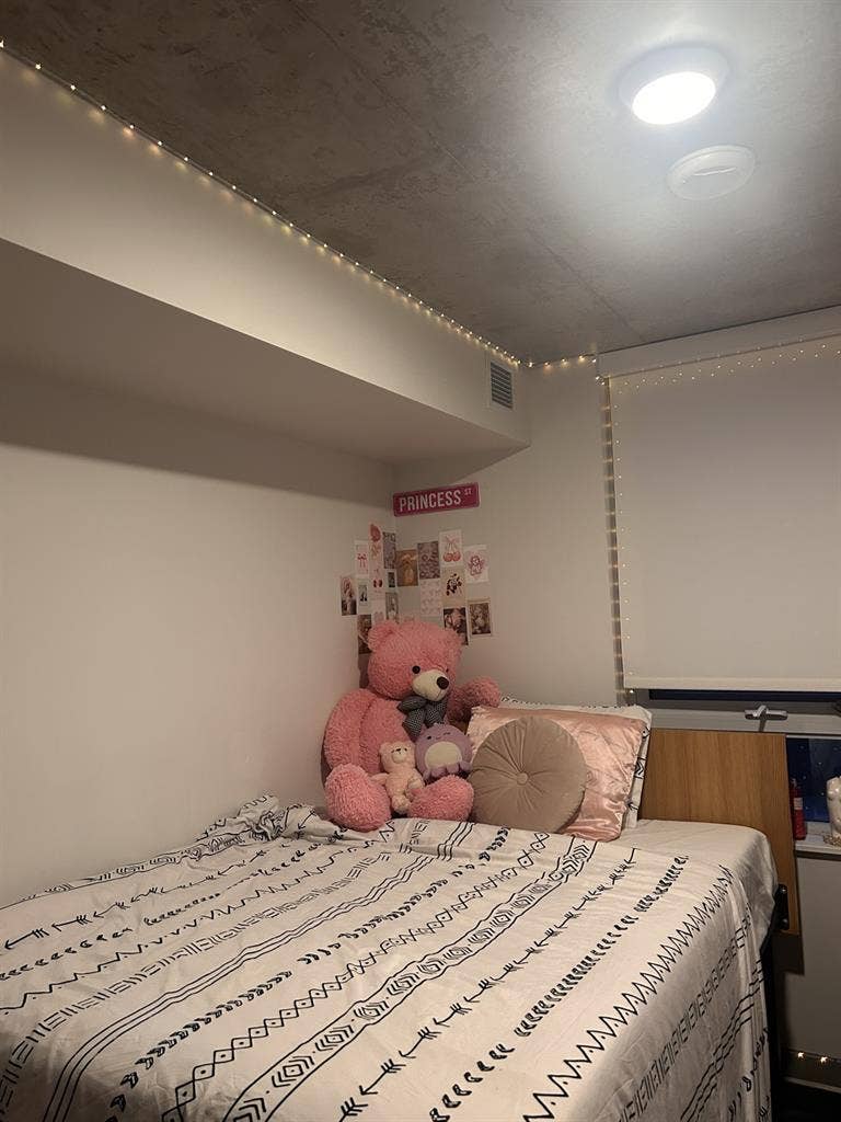 Fully furnished Modern Room