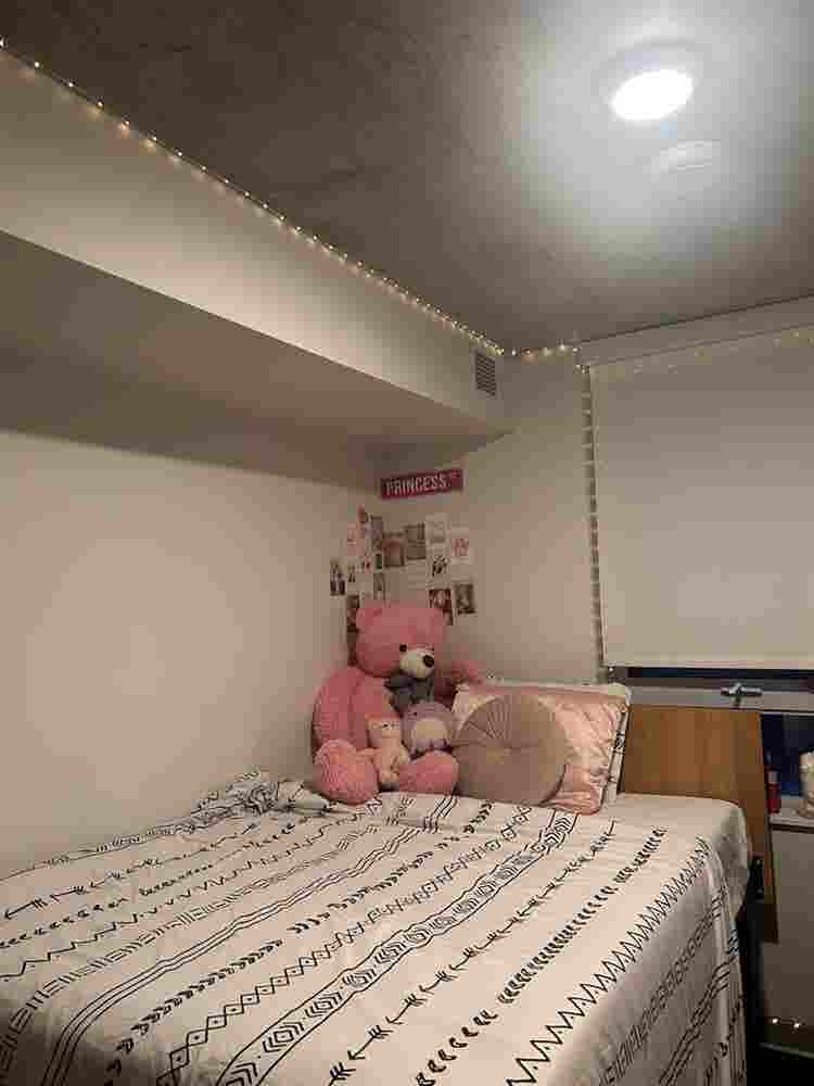Fully furnished Modern Room
