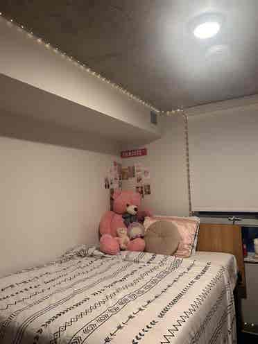 Fully furnished Modern Room