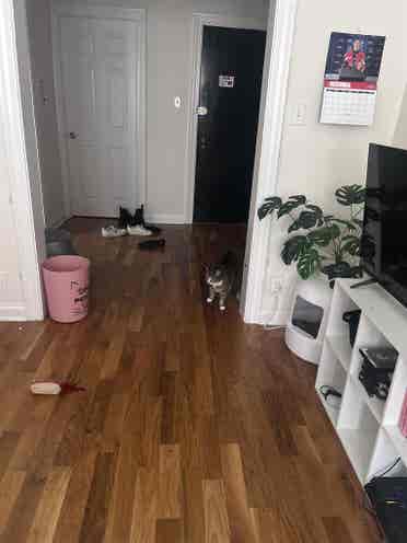 Furnished bedroom off Southport
