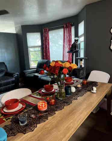 Looking for a clean roommate !