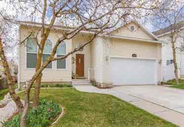Looking for a clean roommate !
