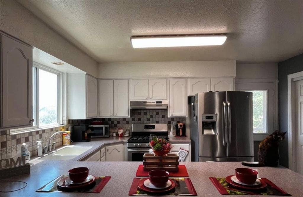 Looking for a clean roommate !