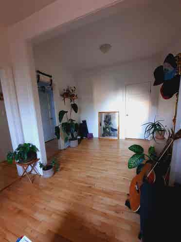 room for rent