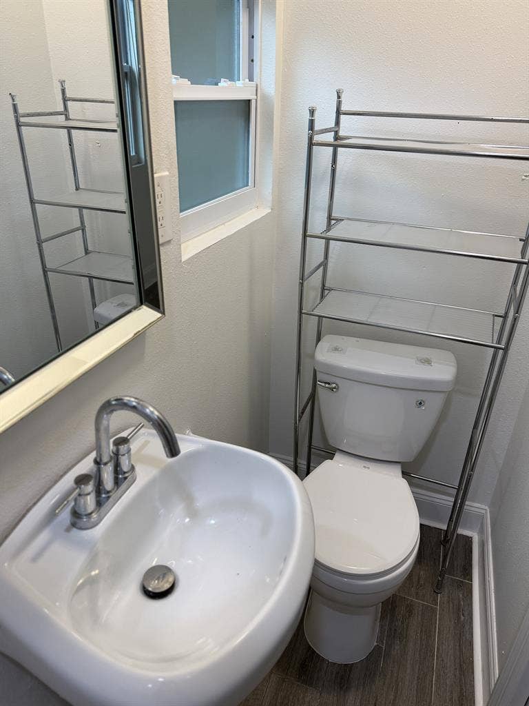Studio – $/mo – Carrollwood