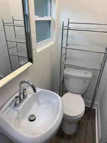 Studio – $/mo – Carrollwood