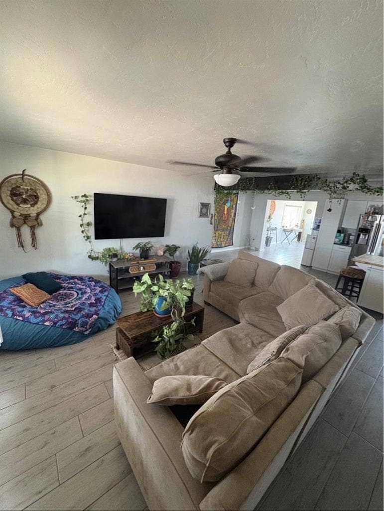 Looking for female only, Aug 1